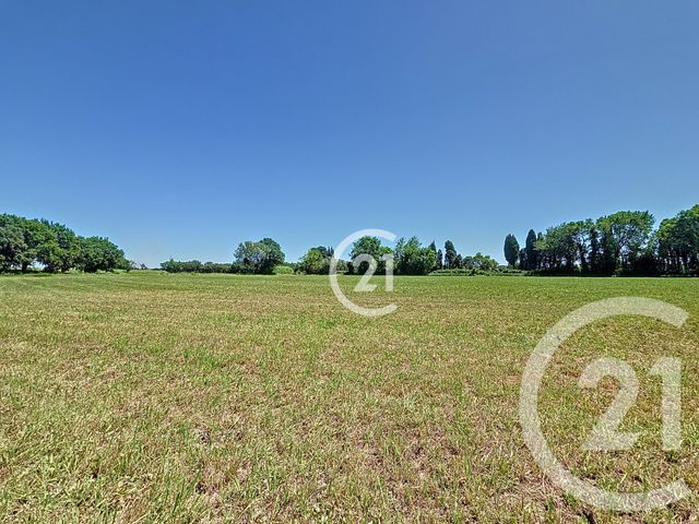 Maison &agrave; vendre - 9 pi&egrave;ces - 225,80 m2 - St Martin De Crau - 13 - PROVENCE-ALPES-COTE-D-AZUR