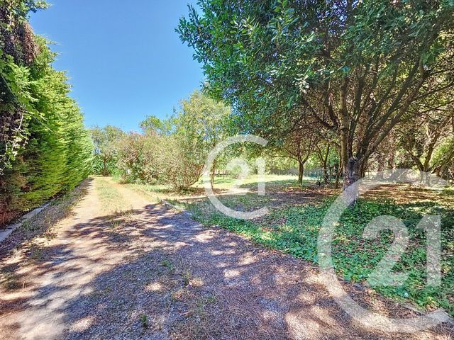 Maison &agrave; vendre - 6 pi&egrave;ces - 134,10 m2 - Mas Thibert - 13 - PROVENCE-ALPES-COTE-D-AZUR