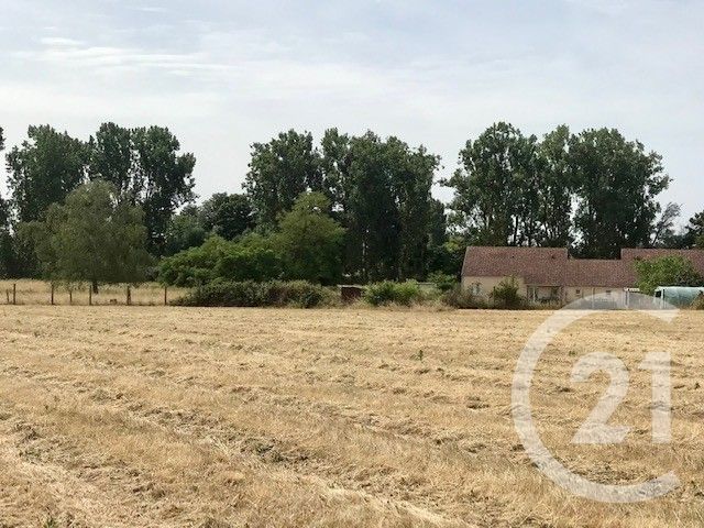 Maison &agrave; vendre - 4 pi&egrave;ces - 90,76 m2 - Sancoins - 18 - CENTRE
