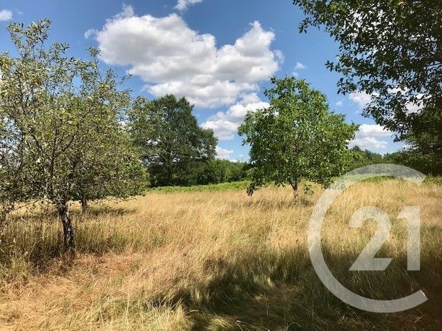 Maison &agrave; vendre - 6 pi&egrave;ces - 229,59 m2 - Le Chautay - 18 - CENTRE