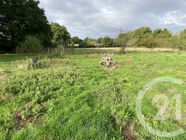 Maison à vendre - 6 pièces - 179,08 m2 - Lurcy Levis - 03 - AUVERGNE