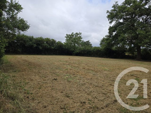 Maison &agrave; vendre - 5 pi&egrave;ces - 101,91 m2 - Pouzy Mesangy - 03 - AUVERGNE