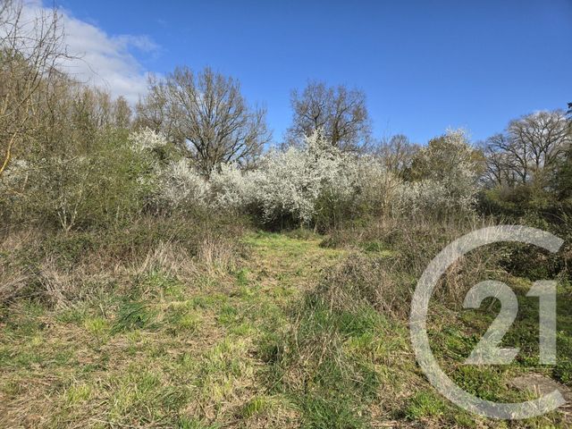 Maison &agrave; vendre - 3 pi&egrave;ces - 74,38 m2 - Givardon - 18 - CENTRE