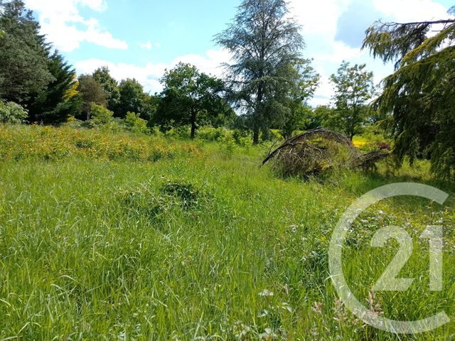 Maison &agrave; vendre - 3 pi&egrave;ces - 87,48 m2 - Lurcy Levis - 03 - AUVERGNE