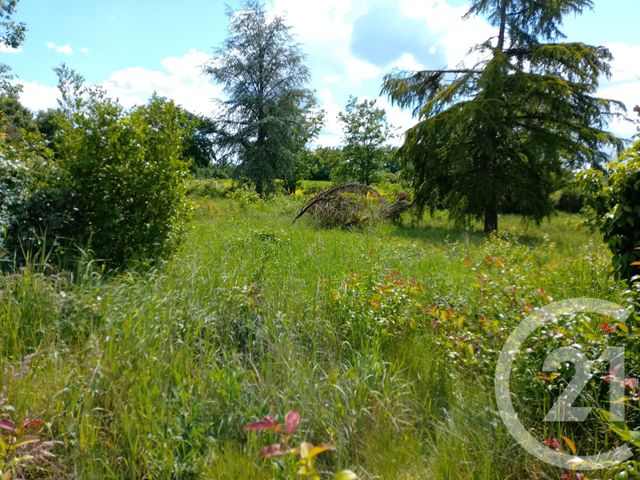 Maison &agrave; vendre - 3 pi&egrave;ces - 87,48 m2 - Lurcy Levis - 03 - AUVERGNE