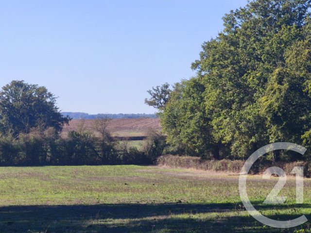 Maison &agrave; vendre - 5 pi&egrave;ces - 134 m2 - Lurcy Levis - 03 - AUVERGNE