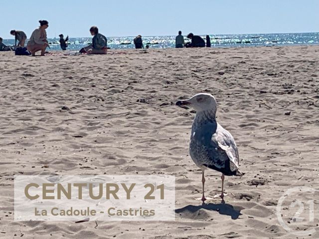 Divers &agrave; vendre - 35 m2 - Palavas Les Flots - 34 - LANGUEDOC-ROUSSILLON