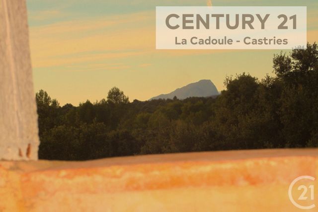 Maison à vendre - 8 pièces - 350 m2 - Restinclieres - 34 - LANGUEDOC-ROUSSILLON