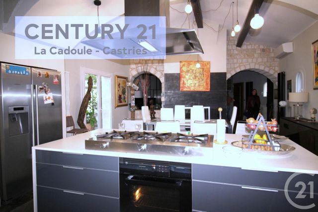 Maison &agrave; vendre - 8 pi&egrave;ces - 350 m2 - Restinclieres - 34 - LANGUEDOC-ROUSSILLON