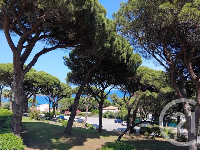 appartement - STE MAXIME - 83