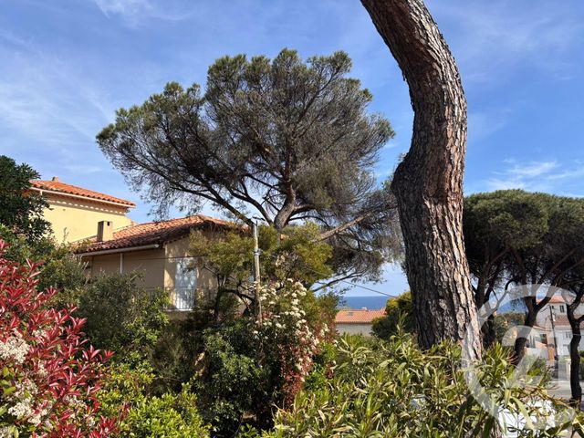 maison - STE MAXIME - 83