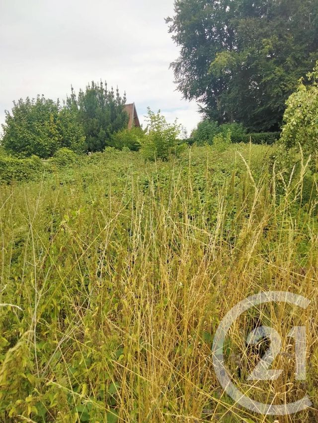 Terrain à vendre - 607 m2 - Flesselles - 80 - PICARDIE