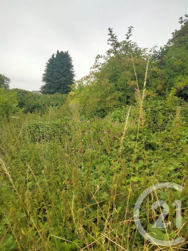 Terrain à vendre - 607 m2 - Flesselles - 80 - PICARDIE