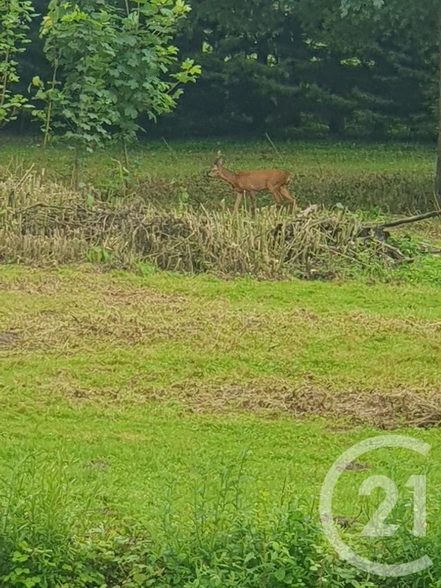 Terrain &agrave; vendre - 15109 m2 - Peronne - 80 - PICARDIE