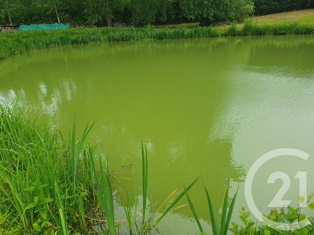 terrain - PERONNE - 80