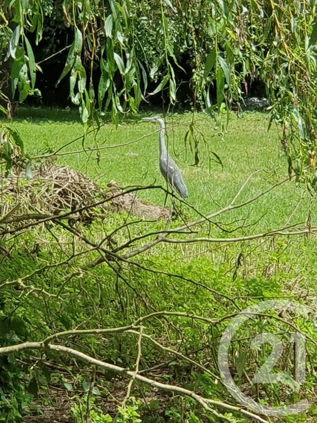 Terrain &agrave; vendre - 15109 m2 - Peronne - 80 - PICARDIE