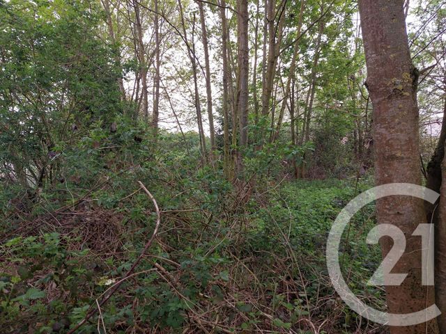 Maison &agrave; vendre - 3 pi&egrave;ces - 96 m2 - Ercheu - 80 - PICARDIE
