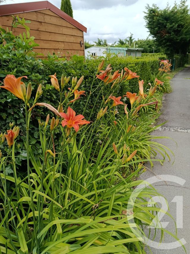 Maison &agrave; vendre - 10 pi&egrave;ces - 10500 m2 - Peronne - 80 - PICARDIE
