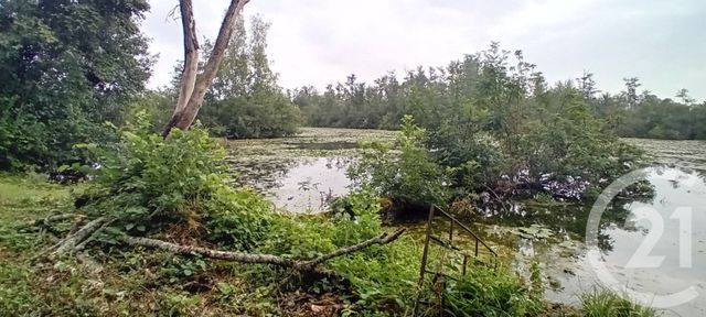 Divers &agrave; vendre - 6831 m2 - Voyennes - 80 - PICARDIE