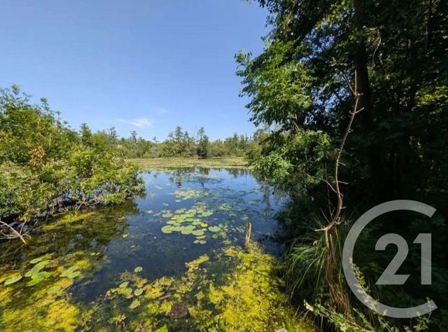 Terrain &agrave; vendre - 6831 m2 - Peronne - 80 - PICARDIE