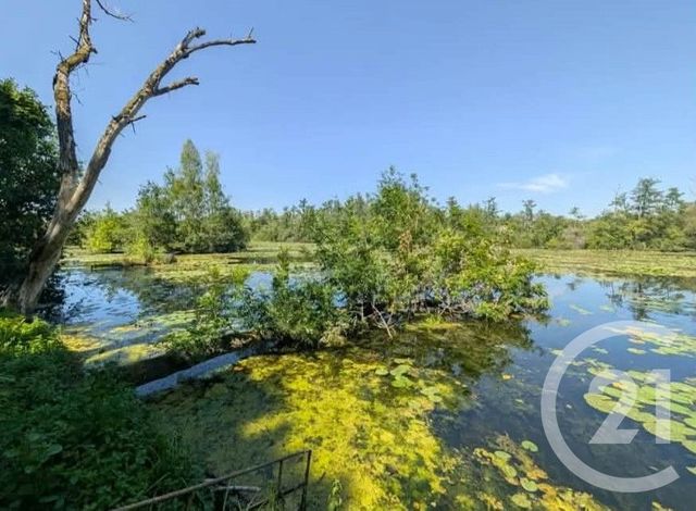 Terrain &agrave; vendre - 6831 m2 - Peronne - 80 - PICARDIE