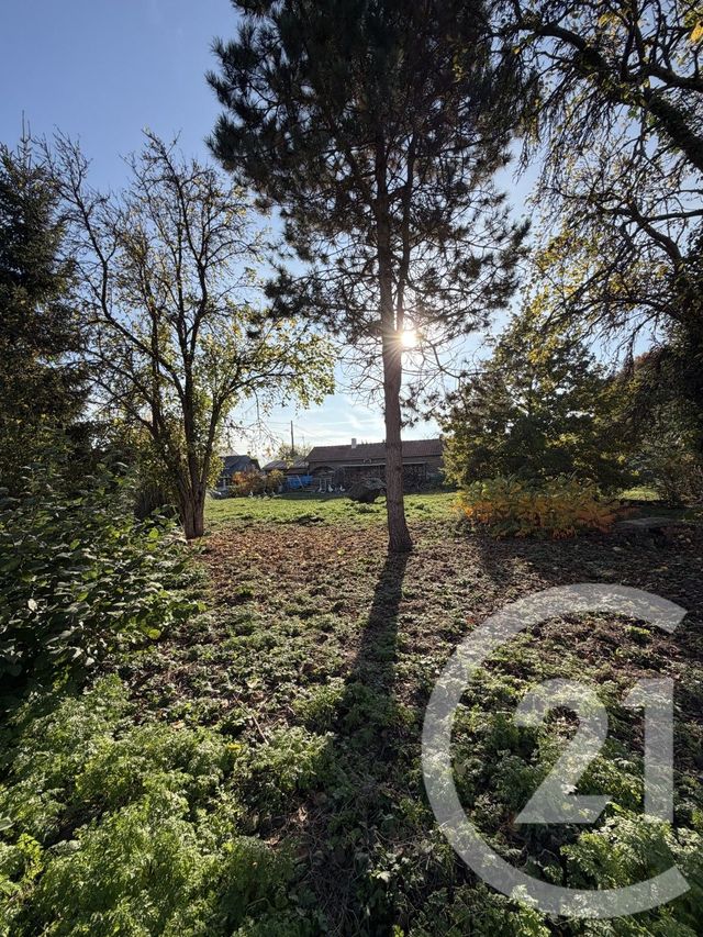 Terrain à vendre - 2145 m2 - Peronne - 80 - PICARDIE