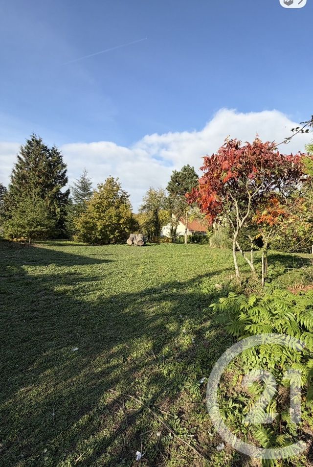 terrain - PERONNE - 80