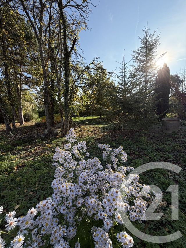 Terrain à vendre - 2145 m2 - Peronne - 80 - PICARDIE