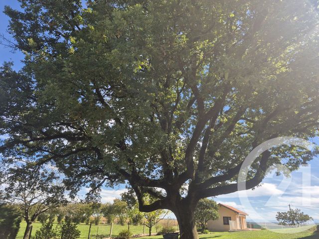 Maison &agrave; vendre - 6 pi&egrave;ces - 148,97 m2 - Boulogne Sur Gesse - 31 - MIDI-PYRENEES