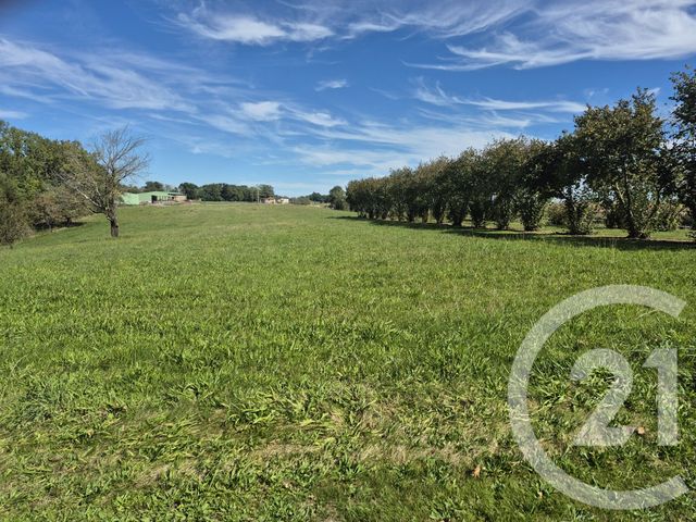 Maison &agrave; vendre - 6 pi&egrave;ces - 148,97 m2 - Boulogne Sur Gesse - 31 - MIDI-PYRENEES