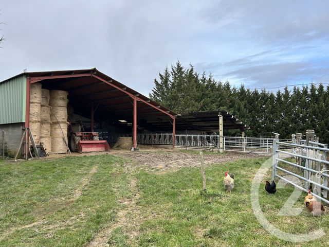 Maison &agrave; vendre - 6 pi&egrave;ces - 168,80 m2 - Blajan - 31 - MIDI-PYRENEES