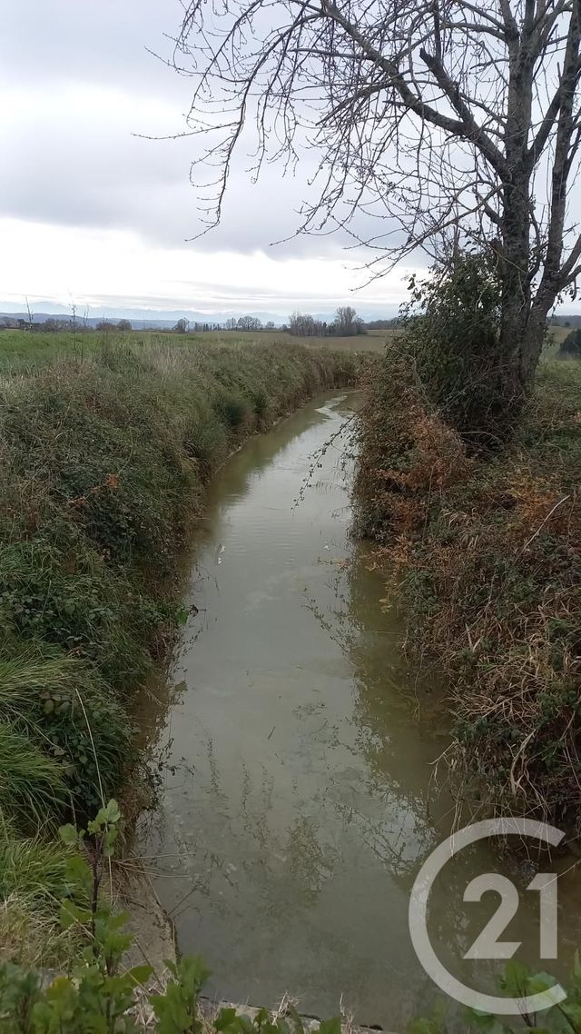 Terrain &agrave; vendre - 4000 m2 - Samaran - 32 - MIDI-PYRENEES