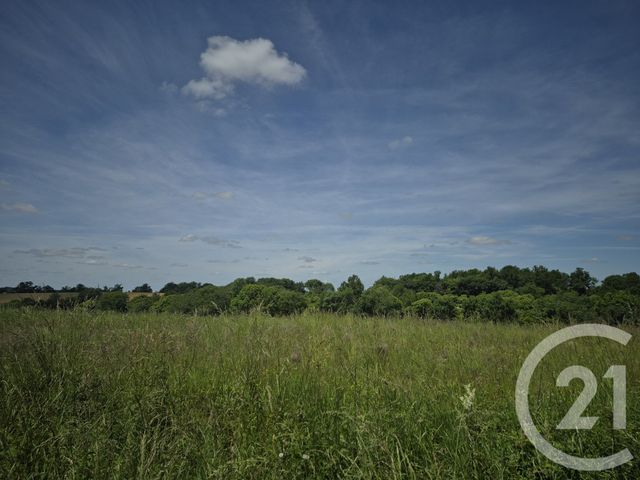 Terrain &agrave; vendre - 1976 m2 - Thermes Magnoac - 65 - MIDI-PYRENEES