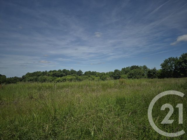 Terrain &agrave; vendre - 1976 m2 - Thermes Magnoac - 65 - MIDI-PYRENEES
