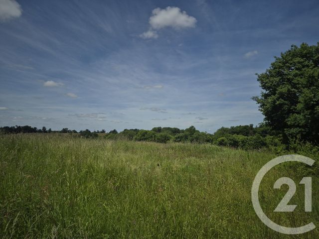 Terrain &agrave; vendre - 1976 m2 - Thermes Magnoac - 65 - MIDI-PYRENEES