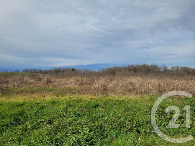 Terrain &agrave; vendre - 1976 m2 - Thermes Magnoac - 65 - MIDI-PYRENEES