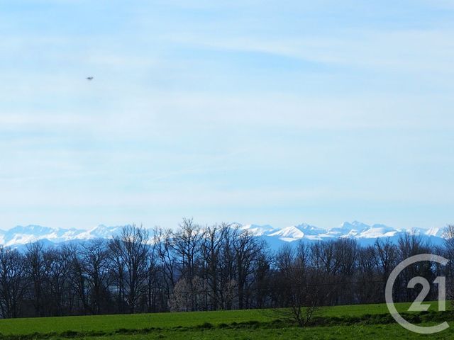 Terrain &agrave; vendre - 3584 m2 - Lalanne Arque - 32 - MIDI-PYRENEES