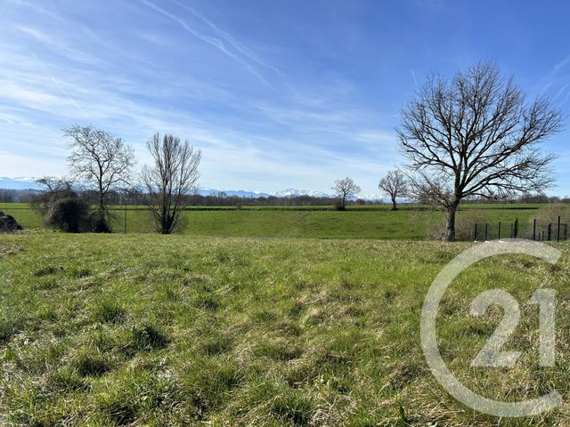 Terrain &agrave; vendre - 3584 m2 - Lalanne Arque - 32 - MIDI-PYRENEES