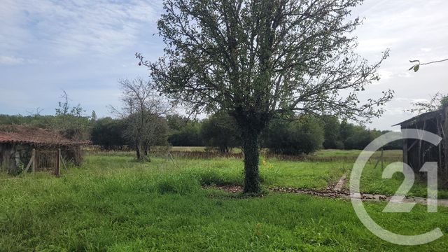 Maison à vendre - 5 pièces - 170 m2 - Montbernard - 31 - MIDI-PYRENEES