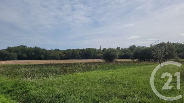 Maison à vendre - 5 pièces - 170 m2 - Montbernard - 31 - MIDI-PYRENEES