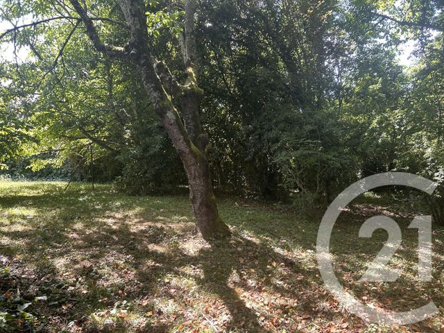 Maison &agrave; vendre - 5 pi&egrave;ces - 155,60 m2 - Blajan - 31 - MIDI-PYRENEES