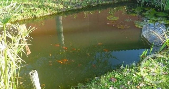 Maison &agrave; vendre - 12 pi&egrave;ces - 296,55 m2 - Monbardon - 32 - MIDI-PYRENEES