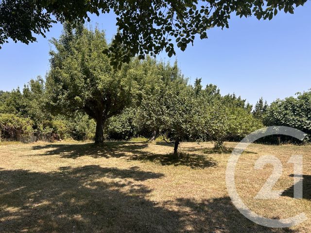Maison &agrave; vendre - 4 pi&egrave;ces - 146 m2 - Escanecrabe - 31 - MIDI-PYRENEES