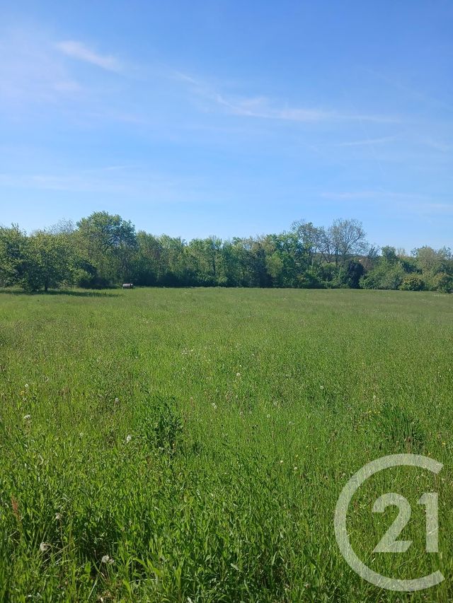 Terrain &agrave; vendre - 10351 m2 - L Isle En Dodon - 31 - MIDI-PYRENEES