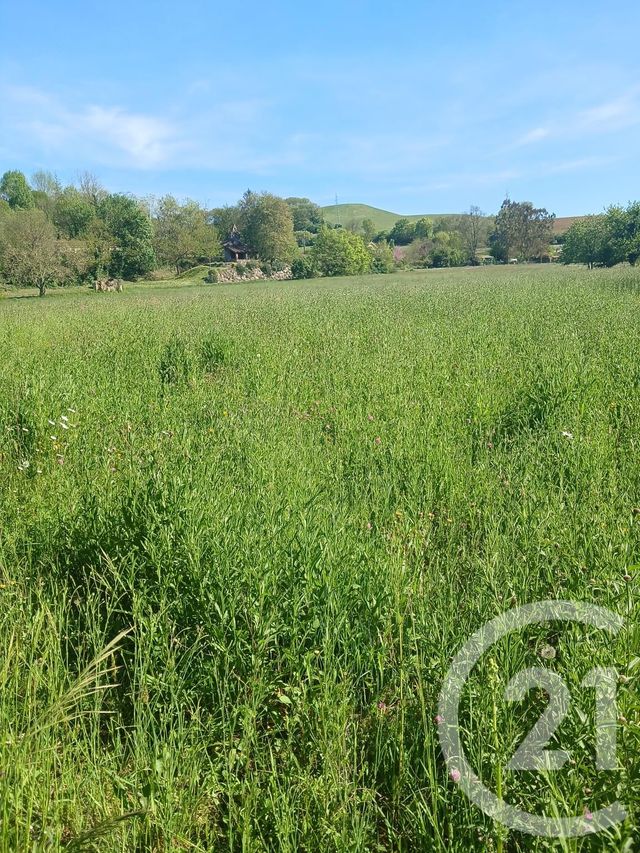Terrain &agrave; vendre - 10351 m2 - L Isle En Dodon - 31 - MIDI-PYRENEES