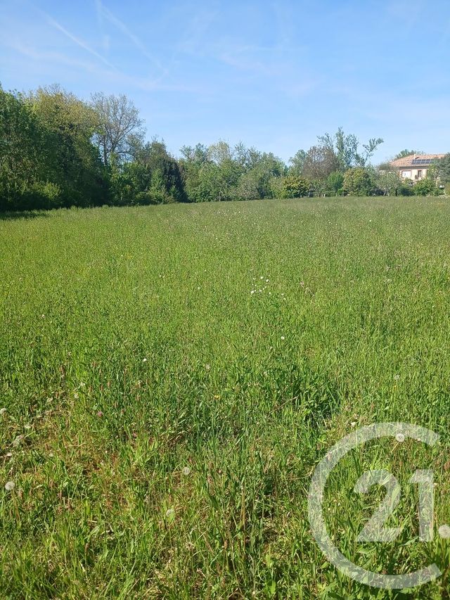 Terrain &agrave; vendre - 10351 m2 - L Isle En Dodon - 31 - MIDI-PYRENEES