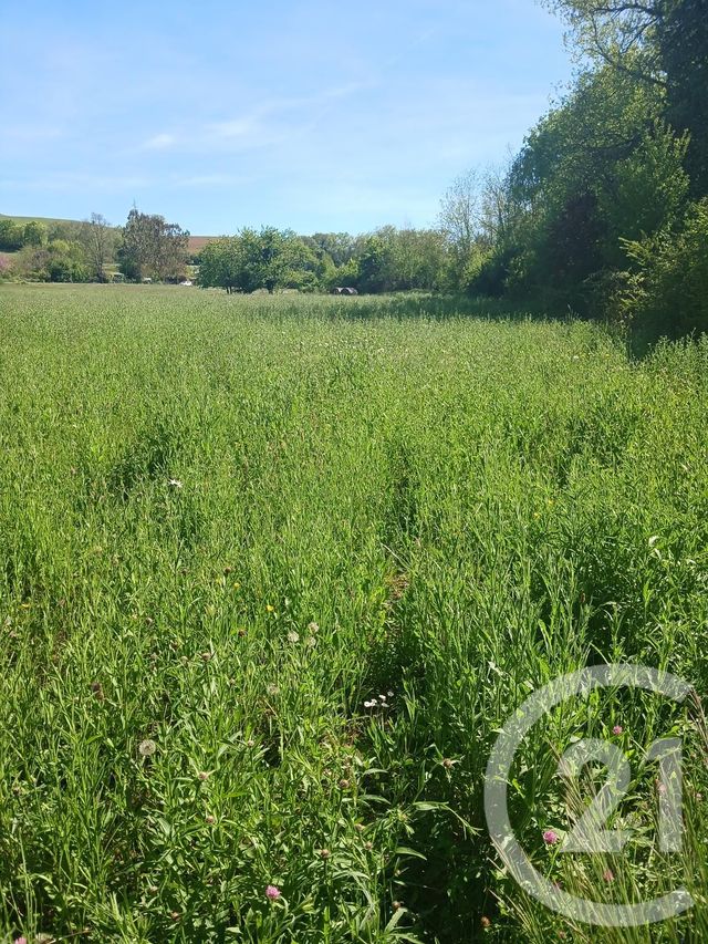 Terrain &agrave; vendre - 10351 m2 - L Isle En Dodon - 31 - MIDI-PYRENEES
