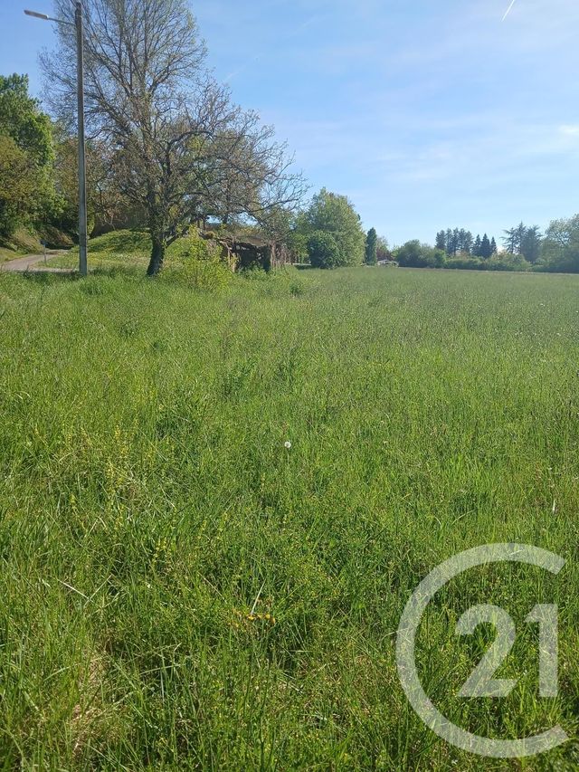 Terrain &agrave; vendre - 10351 m2 - L Isle En Dodon - 31 - MIDI-PYRENEES