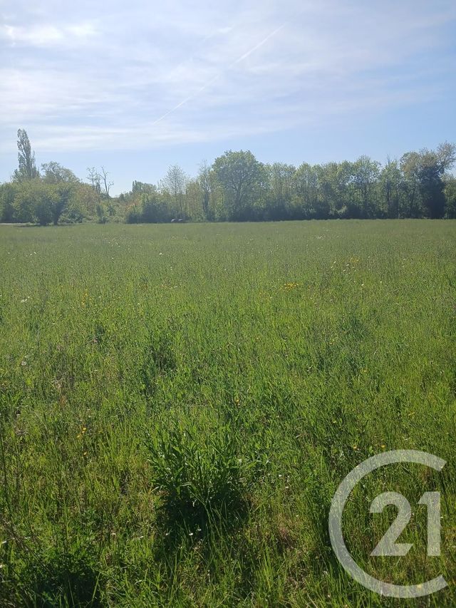 Terrain &agrave; vendre - 10351 m2 - L Isle En Dodon - 31 - MIDI-PYRENEES