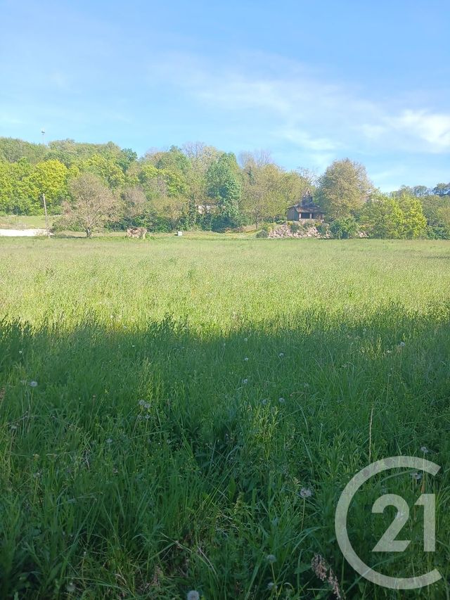 Terrain &agrave; vendre - 10351 m2 - L Isle En Dodon - 31 - MIDI-PYRENEES
